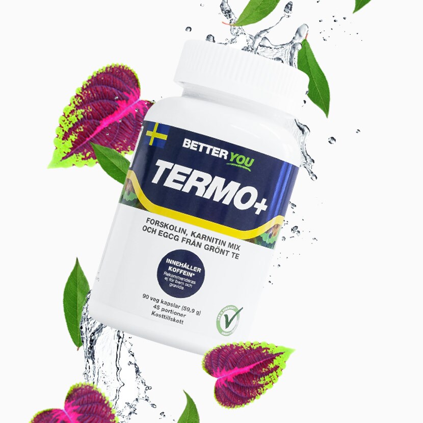 Termo+